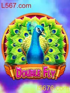 DoubleFly: Inovação e Estratégia no Cenário de Jogos
